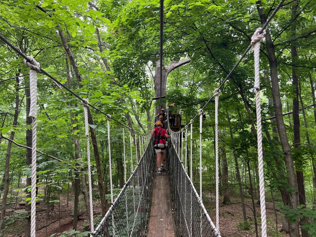 Go On a Zip Line Tour with ZipZone Outdoor Adventures